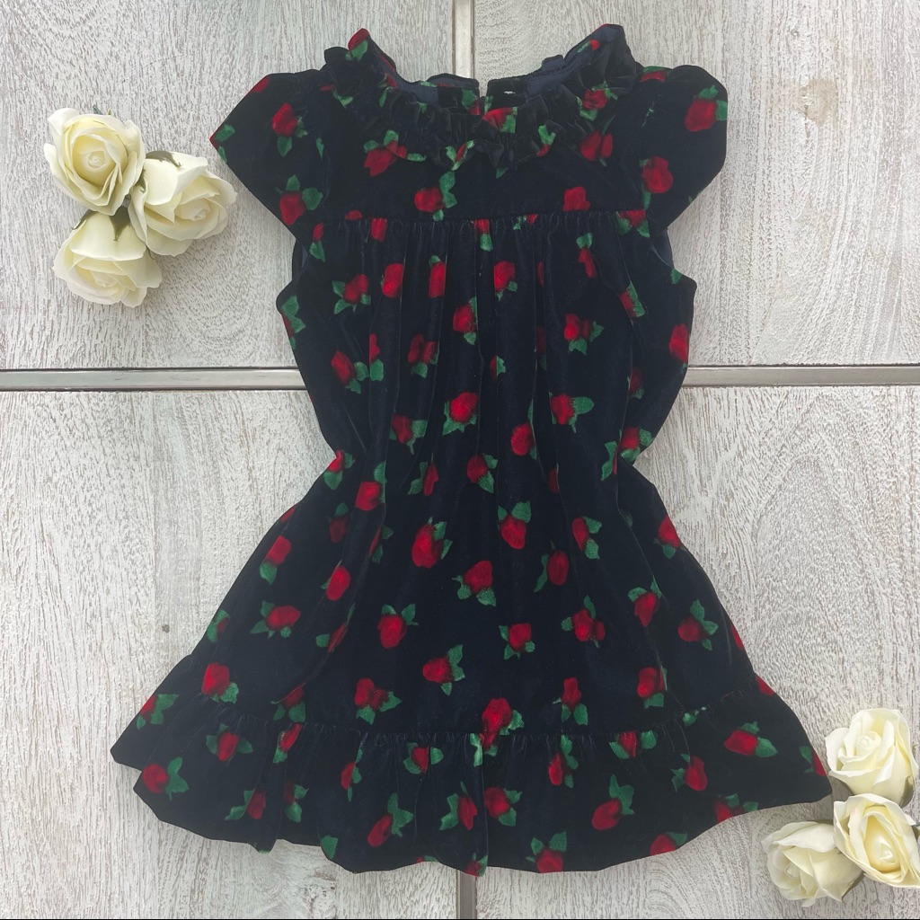New Janie And Jack Dress